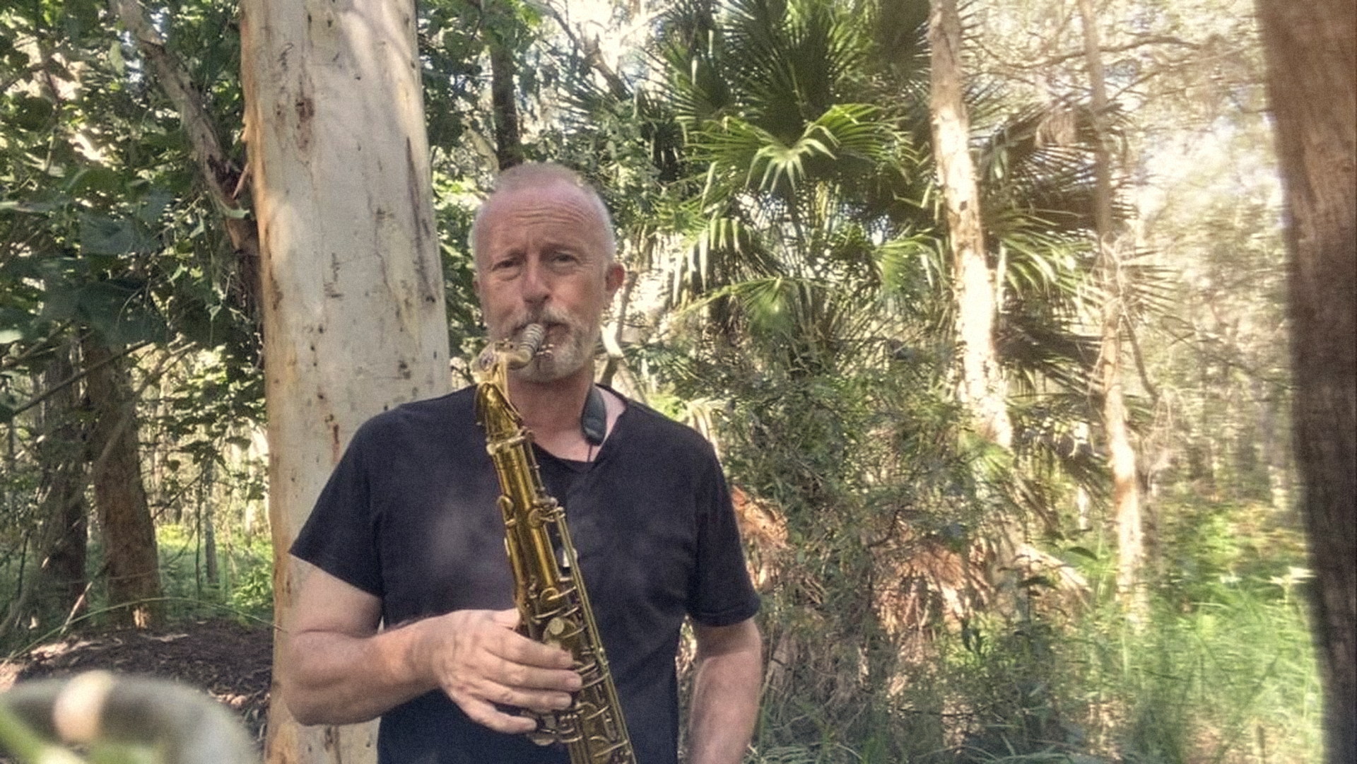 Saxophone being played outdoors on the Sunshine Coast